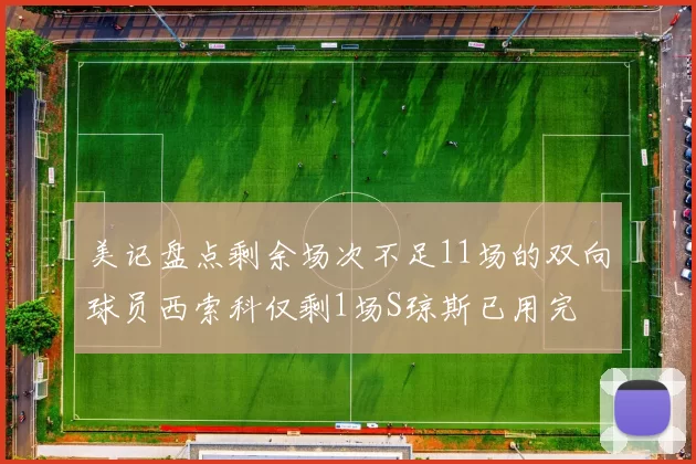 美记盘点剩余场次不足11场的双向球员西索科仅剩1场S琼斯已用完