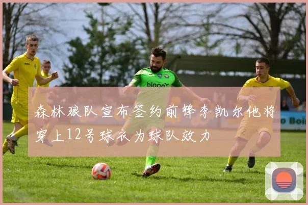 森林狼队宣布签约前锋李凯尔他将穿上12号球衣为球队效力
