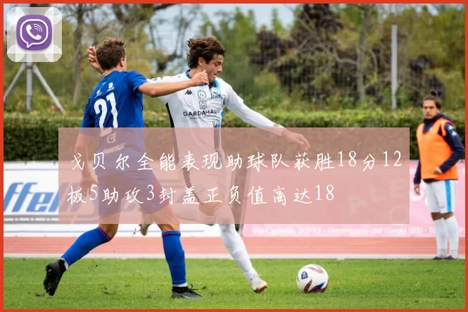 戈贝尔全能表现助球队获胜18分12板5助攻3封盖正负值高达18